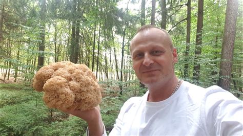 Спарассис курчавый - Krause Glucke (Кудрявая наседка). Вкуснейший соус ...