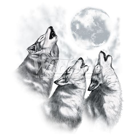 Wolf Howling Sketch at PaintingValley.com | Explore collection of Wolf ...