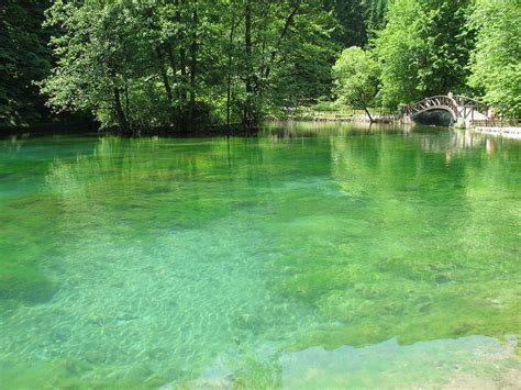 Spring Of The Bosna River Blossom Tours Travel Agency