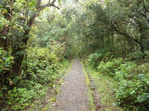 Hiking Barva Volcano - TEFL and TESOL ITA Costa Rica TESOL Blog By ...