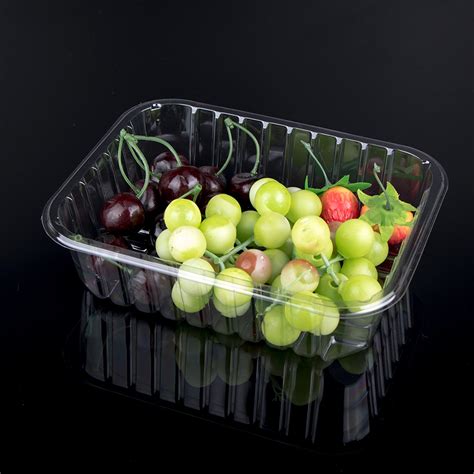 750g Disposable Fruit Containers