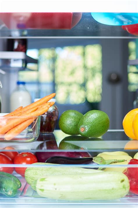 How To Extend The Lifespan Of Your Refrigerator Parts Conservamom