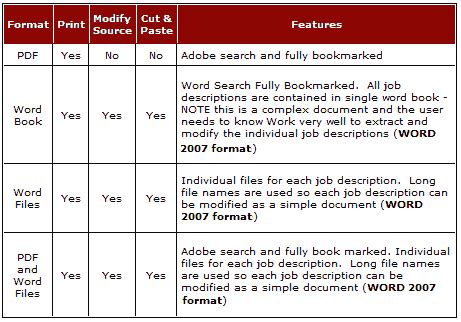 CSO Job Description - Chief Security Officer - Word Pdf