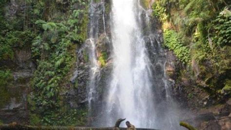 Wisata Ntt Cunca Rede Sensasi Panorama Air Terjun Setinggi Meter Di