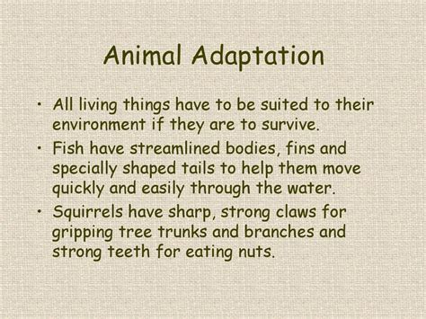 Habitats and Food Chains - ppt download
