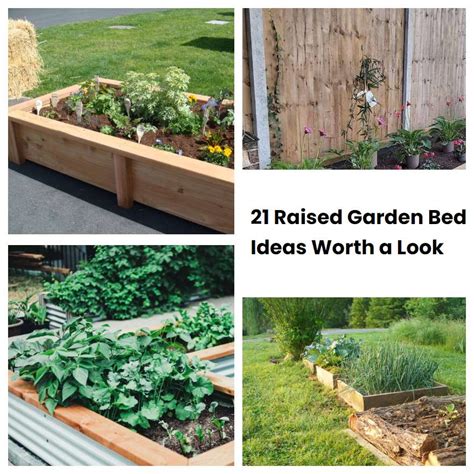 21 Raised Garden Bed Ideas Worth A Look Sharonsable