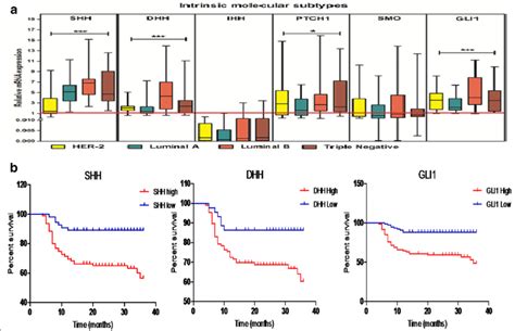 Correlation Of Hedgehog Molecules With Intrinsic Molecular Subtypes And