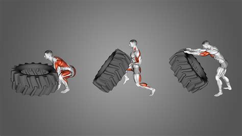 Tire Flip: Benefits, Muscles Worked, and More - Inspire US