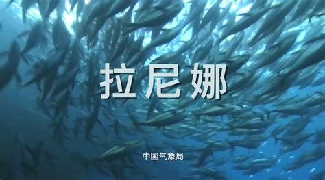 为什么拉尼娜现象发生时，通常会出现“冷冬”天气？新浪新闻