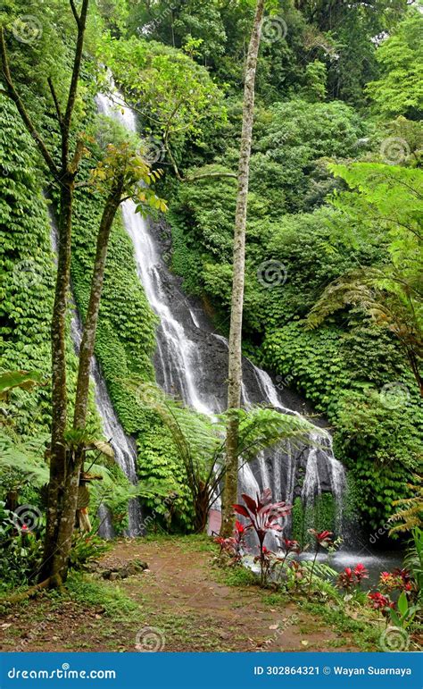 Banyumala Waterfall At Buleleng Regency Of Bali Indonesia Stock Image