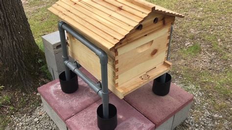 Ant Free PVC Bee Hive Stand - YouTube