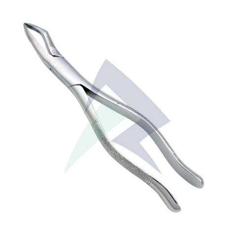 Tooth Extracting Forceps American Pattern Rit Metal