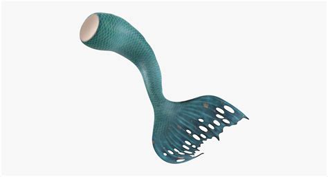 3d Model Mermaid Tail 02 Laying Turbosquid 1239606