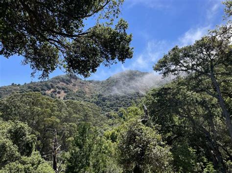 Boucle Mount Caroline Livermore Angel Island State Park Course Komoot