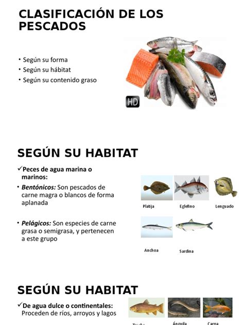 Clasificación De Los Pescados Pdf Cocinando Preparación De Comida