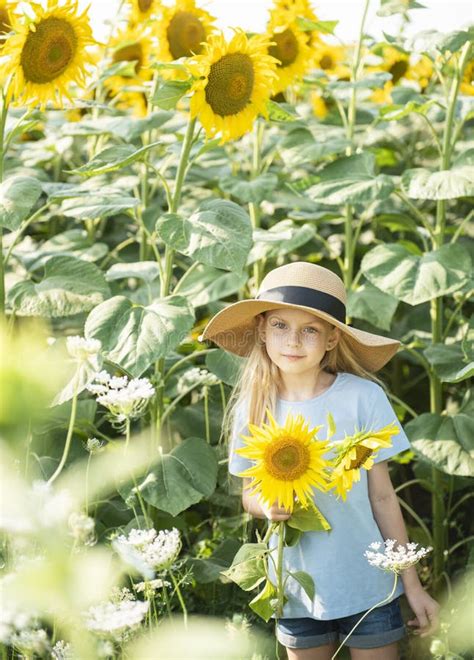 Beautiful Little Girl in Sunflowers Stock Photo - Image of hair, childhood: 226853440