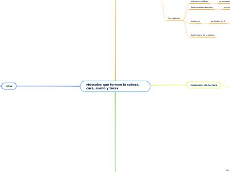 M Sculos Que Forman La Cabeza Cara Cuell Mind Map