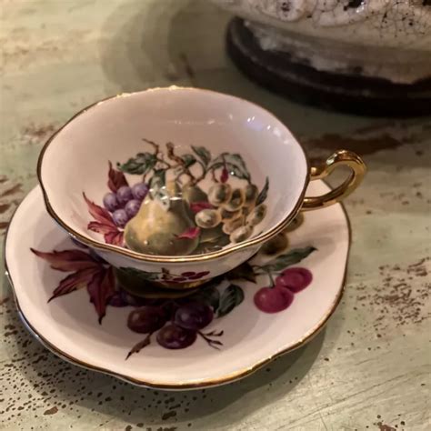 Fine Bone China Rosina Tea Cup Saucer Floral Fruits Made In England