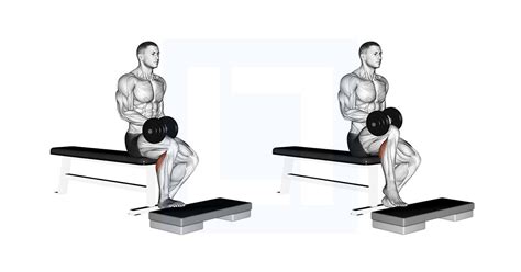 Standing Calf Raise - Guide, Benefits, and Form