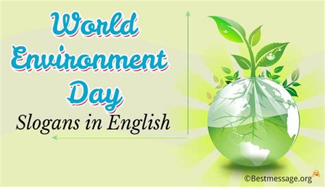 Best World Environment Day Slogans Catchy Slogan In English Expose