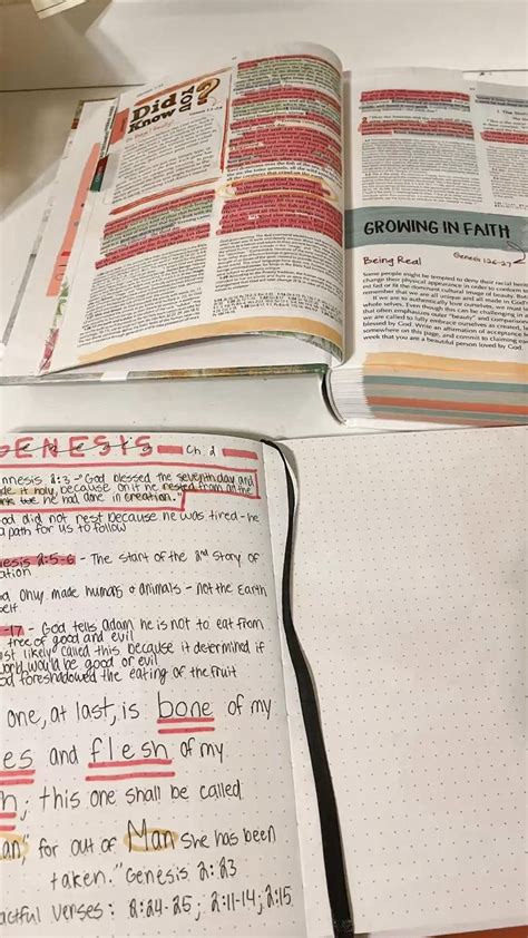 Genesis Chapter 2 Bible Studyjournal