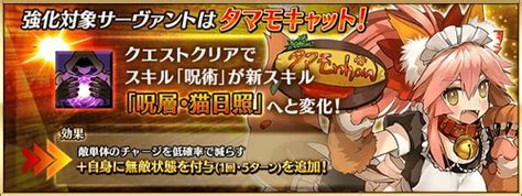 【fgo】タマモキャットの強化クエスト攻略 Appmedia