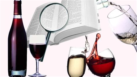 Useful Wine Terms and Wine Tasting Words You Need to Learn - McClain Cellars