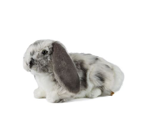 Living Nature 12 Realistic Grey Dutch Lop Ear Bunny Plush Toy