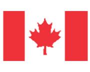 Canada Flag Tattoo – Tattoo for a week