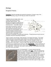 Exploring The Fascinating World Of Kingdom Protista Course Hero