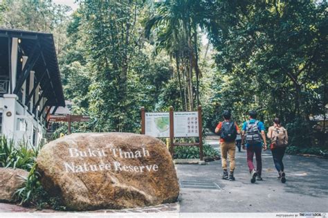 7 Hiking Trails Around Bukit Timah Nature Reserve