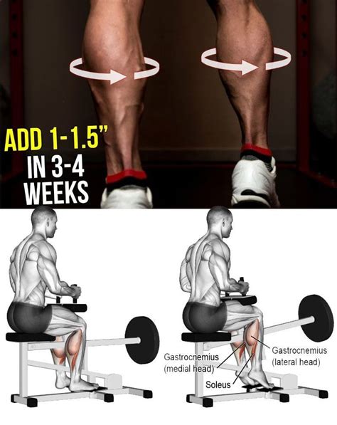 Calves Exercises Best Gym Workout How To Get Bigger Big Calves