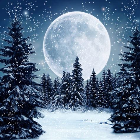 Moon Night Snow - 1024x1024 Wallpaper - teahub.io