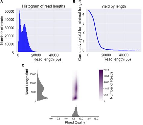 Frontiers QitanTech Nanopore Long Read Sequencing Enables Rapid