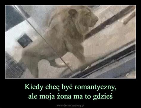 Kiedy Chc By Romantyczny Ale Moja Ona Ma To Gdzie Demotywatory Pl