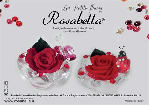 Les Petite Fleurs ROSABELLA L Originale Rosa Vera Stabilizzata La