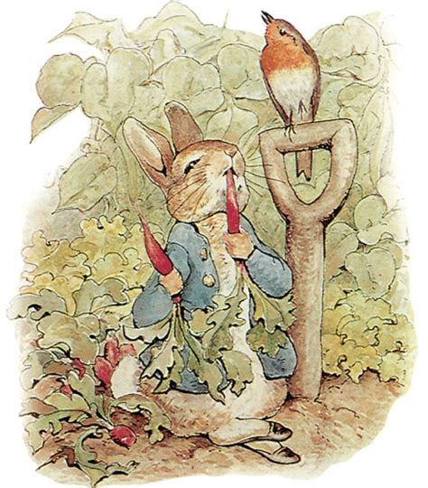 D BEATRIX POTTER PETER RABBIT Beatrix potter Ilustración de libros