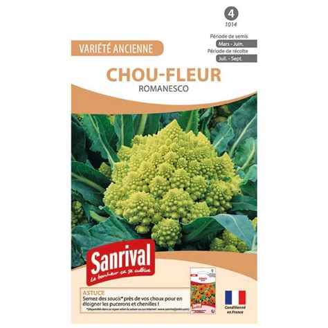 Chou Romanesco