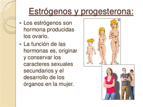 Hormonas Sexuales