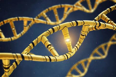 Scientists Show Transmission Of Epigenetic Memory Across Multiple