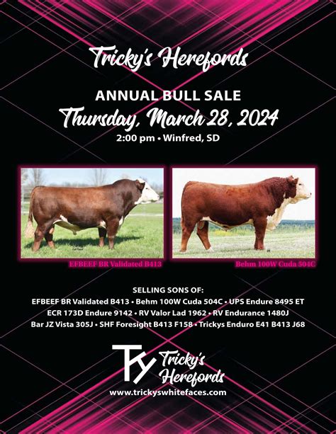 Trickys Herefords Annual Bull Sale By American Hereford Association