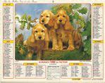 Calendrier 1990 Almanach Du Facteur J Lavigne Chien Chat Animaux Le