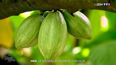 Le Grand Format Inde Le Nouveau Royaume Du Chocolat Tf Info