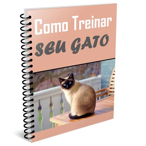 Como Treinar Seu Gato - 10