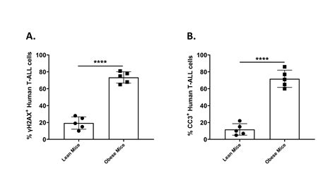 Adipocyte Mediated Epigenomic Instability In Human T ALL Cells Is