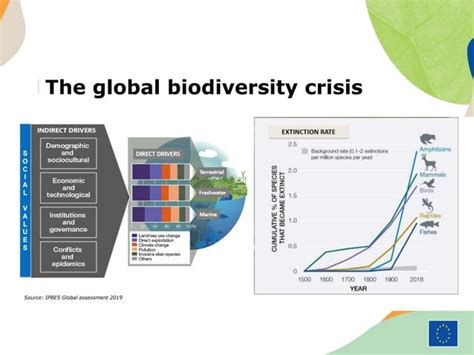 The EU Biodiversity Strategy For 2030 PPT