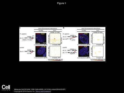 Inter Chromosomal Contact Properties In Live Cell Imaging And In Hi C