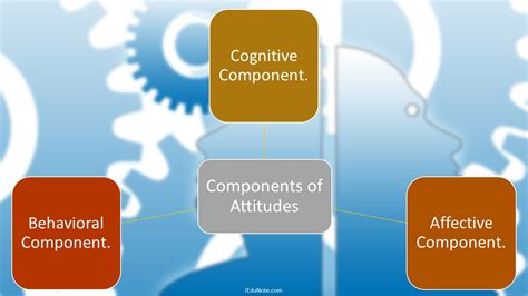 Componentes Das Atitudes Cognitivo Afetivo Comportamental