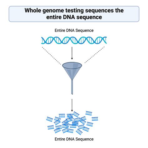 All About Genetic Sequencing TESS Research Foundation