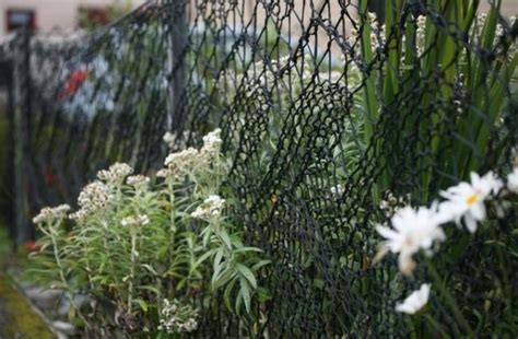 Cette couturière a réalisé toute la clôture de son jardin avec de la